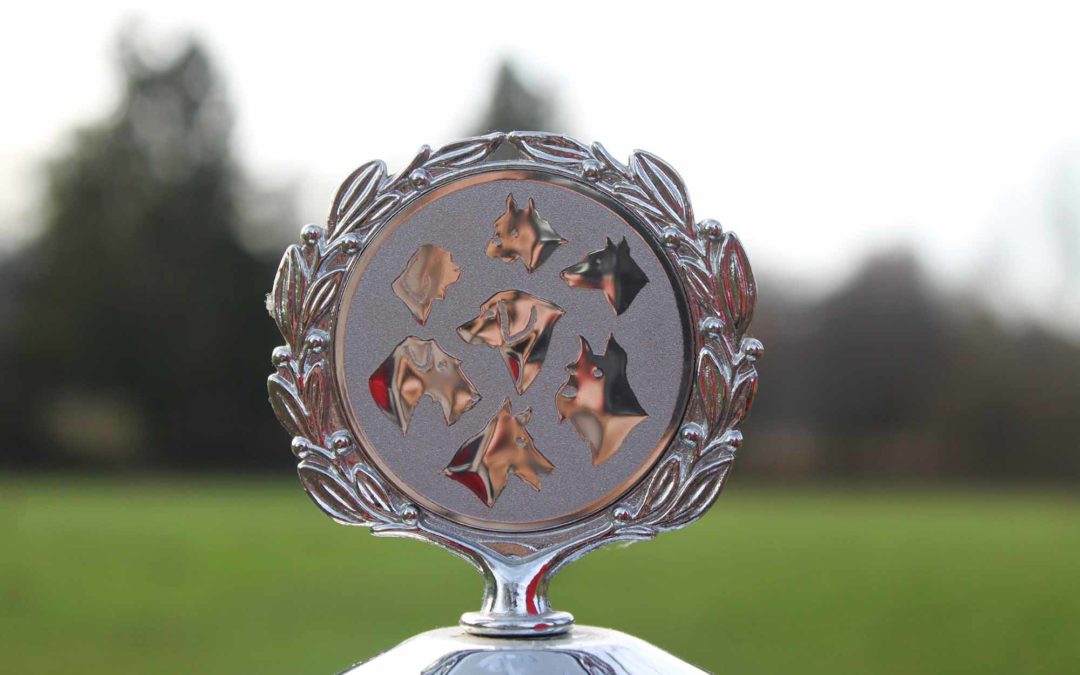 Vereinsprüfung mit IGBH, Begleithunde- und Fährtenhund Prüfung am 30.11.2025