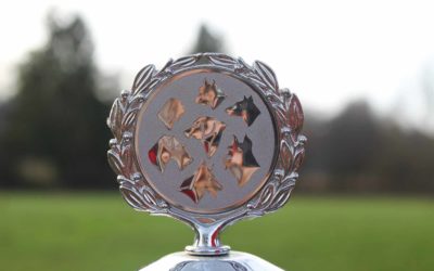 Vereinsprüfung mit IGBH, Begleithunde- und Fährtenhund Prüfung am 30.11.2025