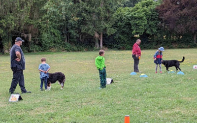 Kinderferienprogramm beim HSV-Aichtal am 27.07.2023