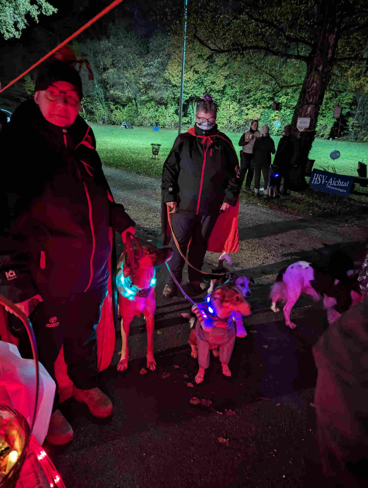 HSV-Aichtal_Halloween Nachtübung 2023_Die Halloween-Hunde warten gespannt
