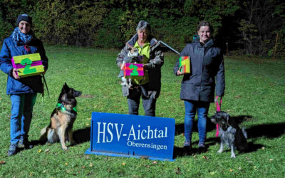 Halloween-Nachtübung am 28. Oktober 2023 beim HSV Aichtal