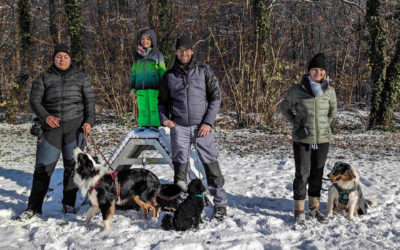 Vereinsmeisterschaft Fährtenhunde am 26.11.2023 beim HSV Aichtal – ergänzt um IGP-Prüfungen, Begleithundeprüfungen und Sachkundeprüfungen