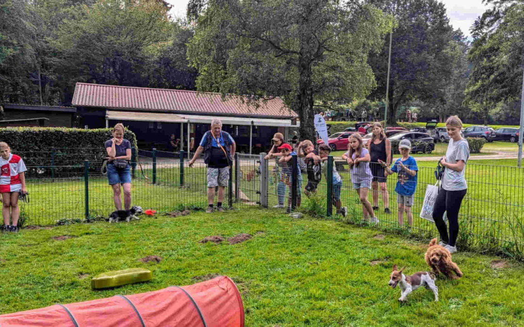 Kinderferienprogramm beim HSV-Aichtal am 25.07.2024