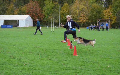 THS-Herbstprüfung am 19. und 20.10.2024 beim VdH Metzingen