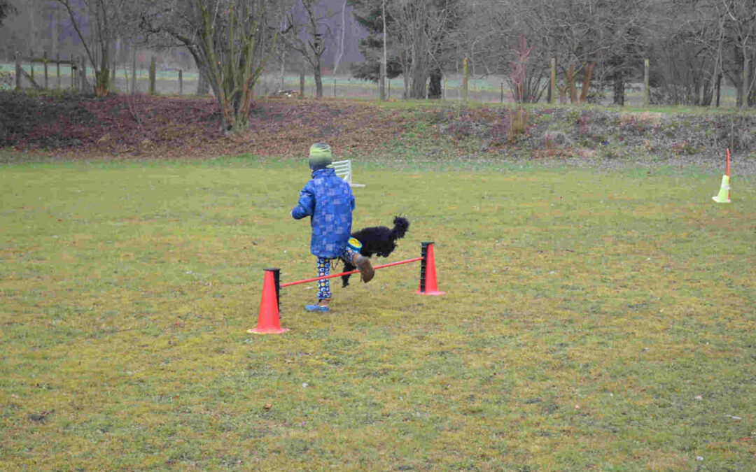 Neujahresolympiade und Jugendtag der Kreisgruppe 11 am 18.01.2025 beim HSV Aichtal