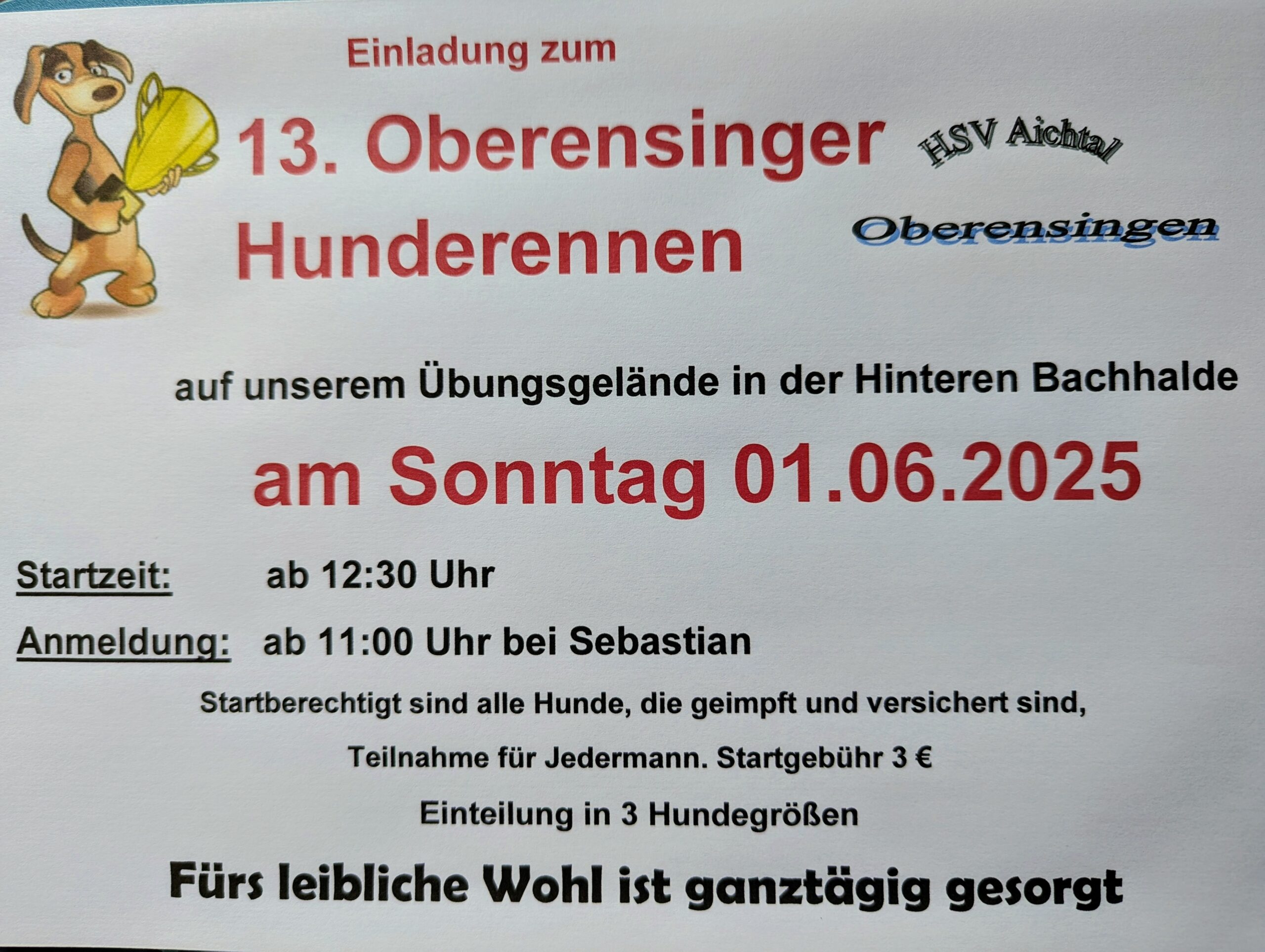 Einladung zur Kreismeisterschaft im Vierkampf beim HSV Aichtal am 27. April 2025