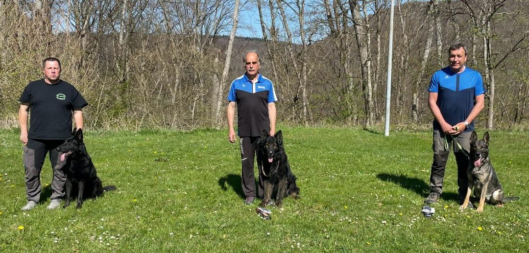 Erfolgreiche Fährtenhunde des HSV Aichtal bei der Kreismeisterschaft Neckar-Alb 2025