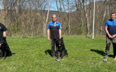 Erfolgreiche Fährtenhunde des HSV Aichtal bei der Kreismeisterschaft Neckar-Alb 2025
