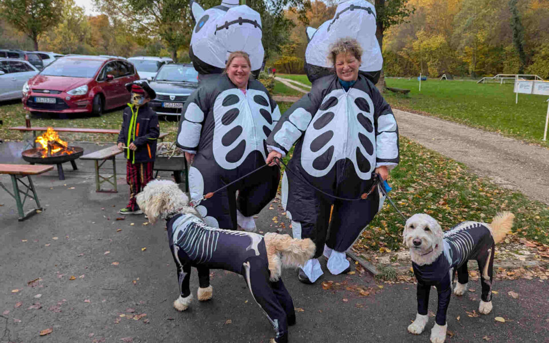 Spannende Halloween-Nachtübung am 25.10.2025 beim HSV Aichtal