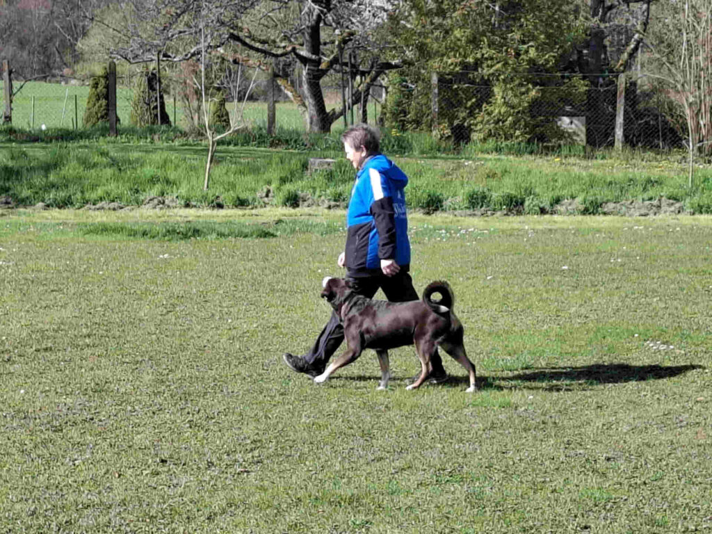 Karola+Berit THS Wettkampftraining_HSV Aichtal_2