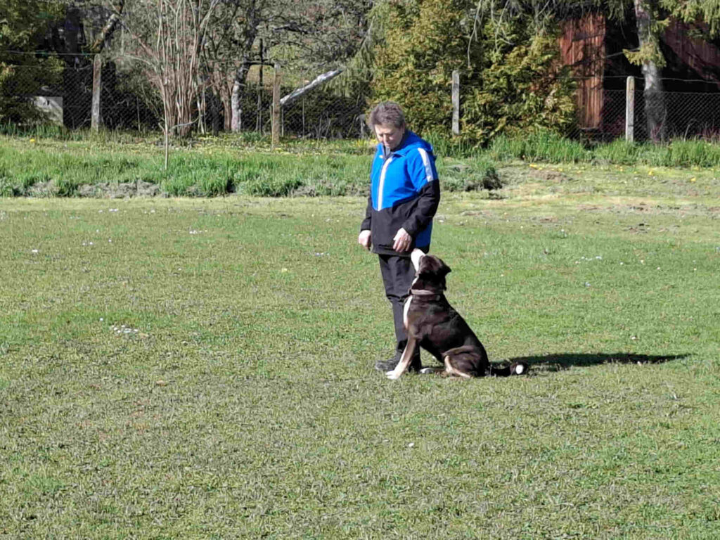 Karola+Berit_THS Wettkampftraining HSV Aichtal_1