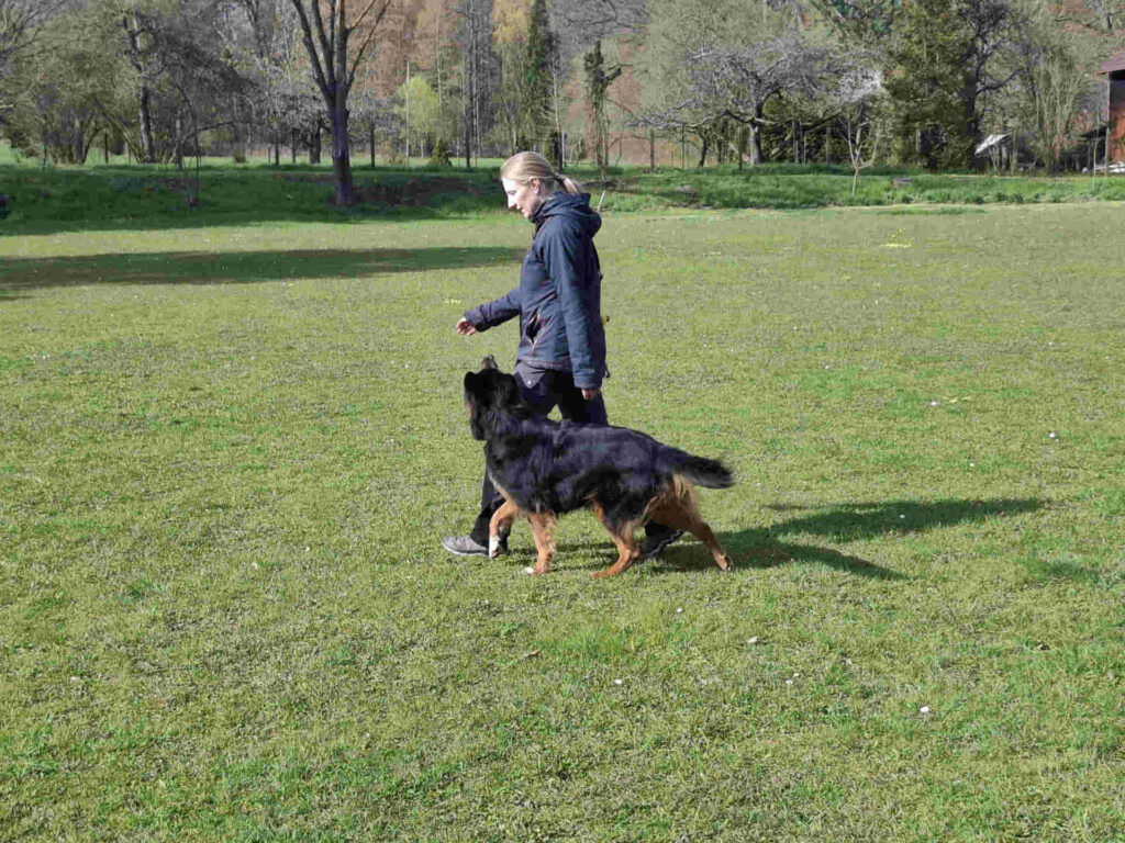 Natalie+Georgi_THS Wettkampftraining HSV Aichtal_2