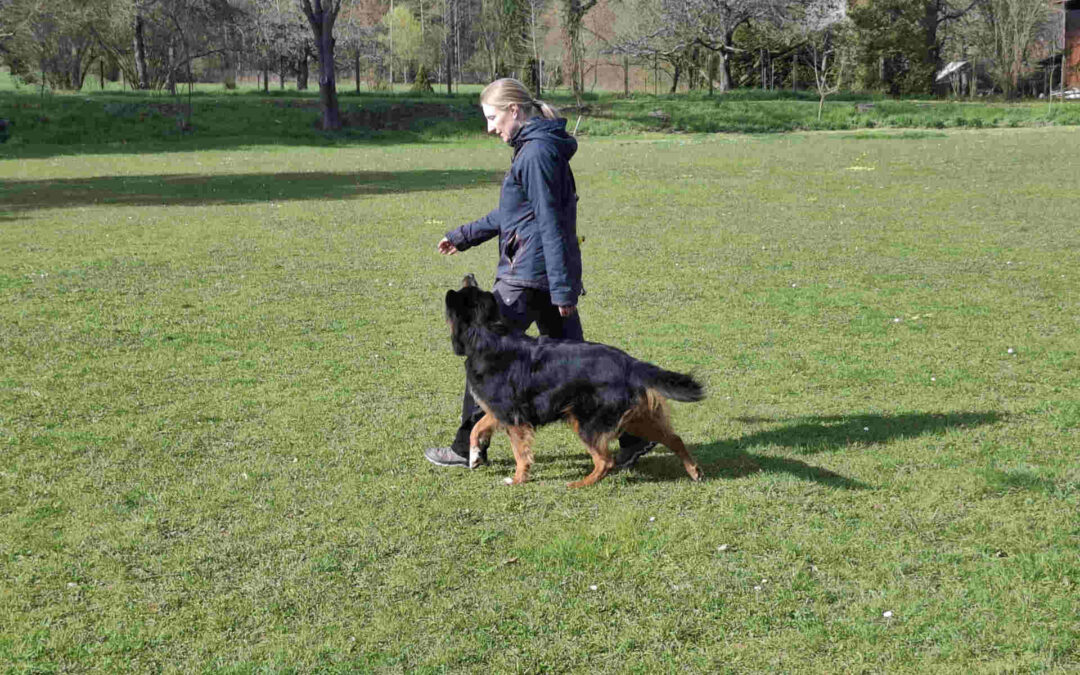 Training unter Wettkampfbedingungen am 29.03.2026