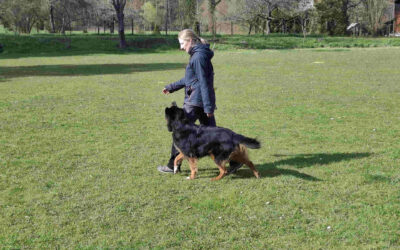 Training unter Wettkampfbedingungen am 29.03.2026