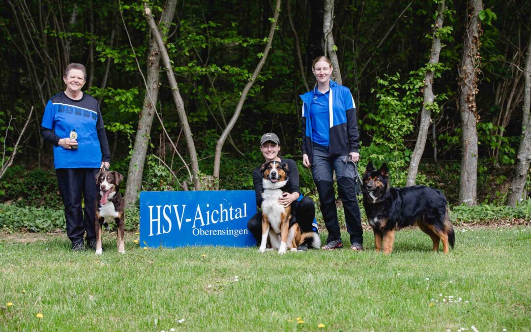 Beste Rahmenbedingungen führten bei der Kreismeisterschaft zum Titel am 26.04.2026